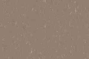 Линолеум Forbo Marmoleum Solid Piano 3631-363135 otter фото  | FLOORDEALER